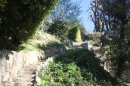 Grasse